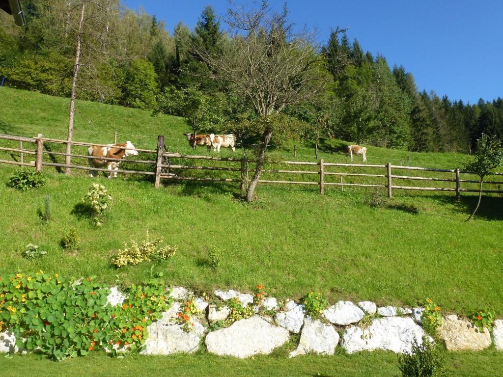 Pension Ehrenfried - Hotel Garni Kindberg Exterior foto